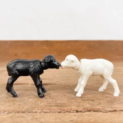 Agneau qui hoche la tête