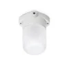 Applique de plafond en porcelaine blanche 60W verre mat