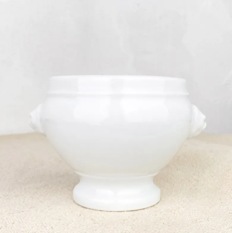 Bol à soupe tête de lion porcelaine blanche