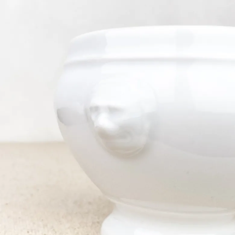 Bol à soupe tête de lion porcelaine blanche