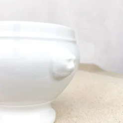 Bol à soupe tête de lion porcelaine blanche