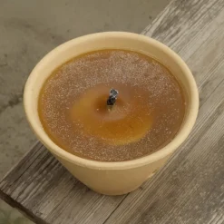 Bougie citronnelle en pot des Landes