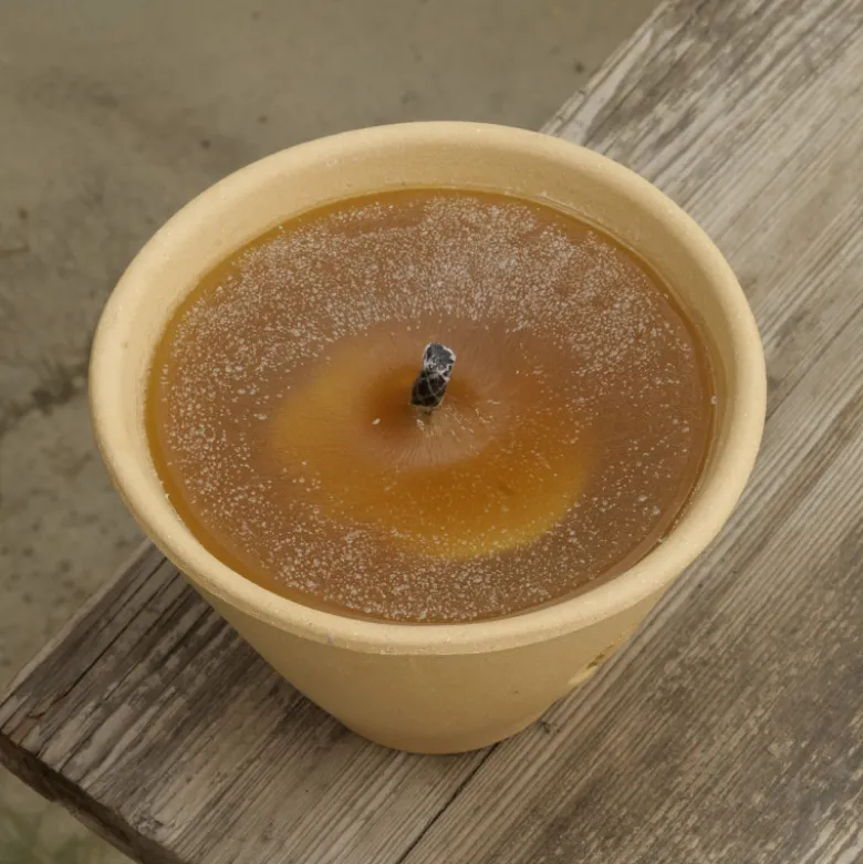 Bougie citronnelle en pot des Landes