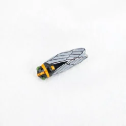 Broche cigale
