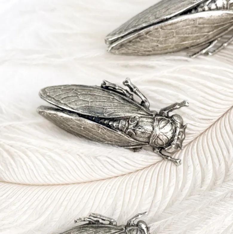 Broche cigale vieil argent