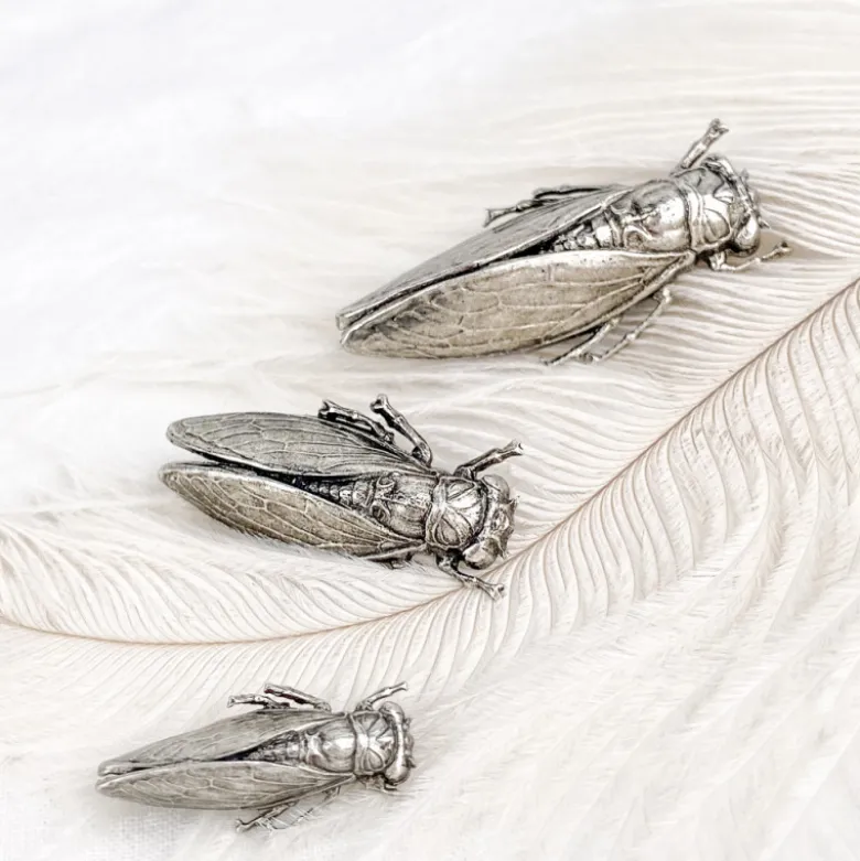 Broche cigale vieil argent