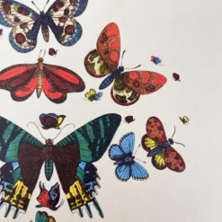 Cahier A5 motifs papillons