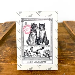 Cartes de tarot chat