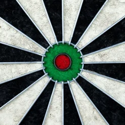 Cible de fléchettes de compétition