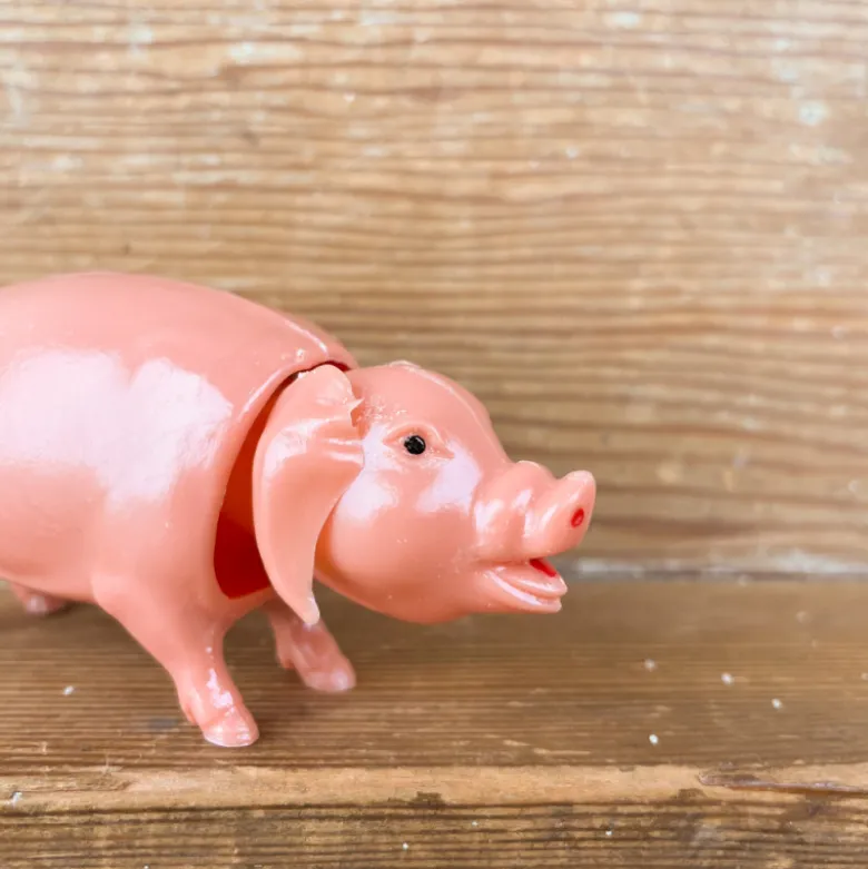 Cochon qui hoche la tête