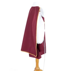 Costume de Mousquetaire