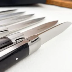 6 couteaux de table Sauveterre ébène