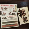 4 découpages animés