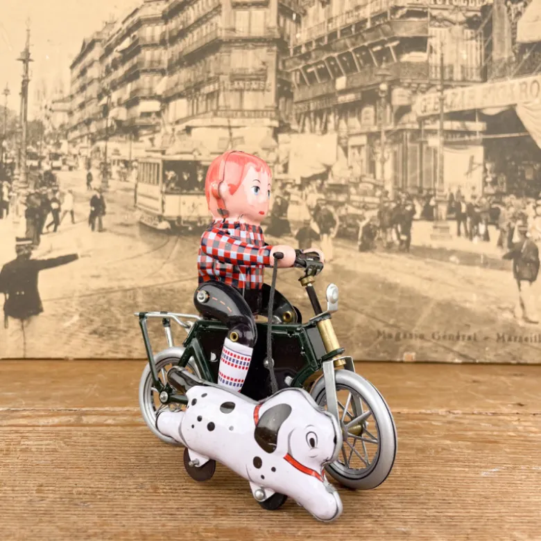 Garçon à bicyclette mécanique avec chien