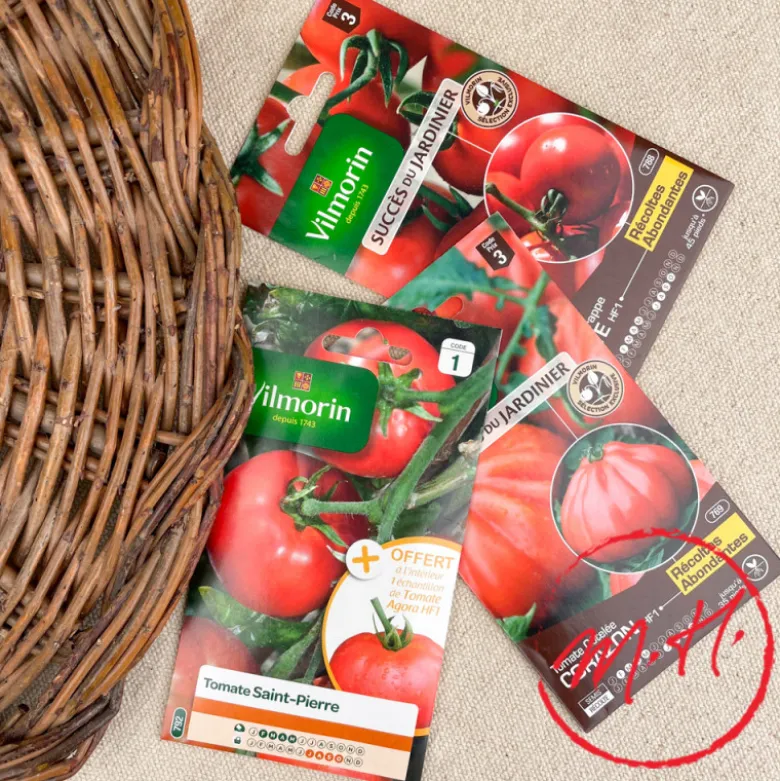 Graines de tomates