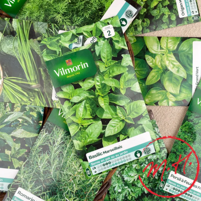 Graines plantes aromatiques