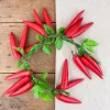 Guirlande de piments rouges
