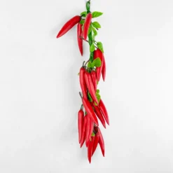 Guirlande de piments rouges