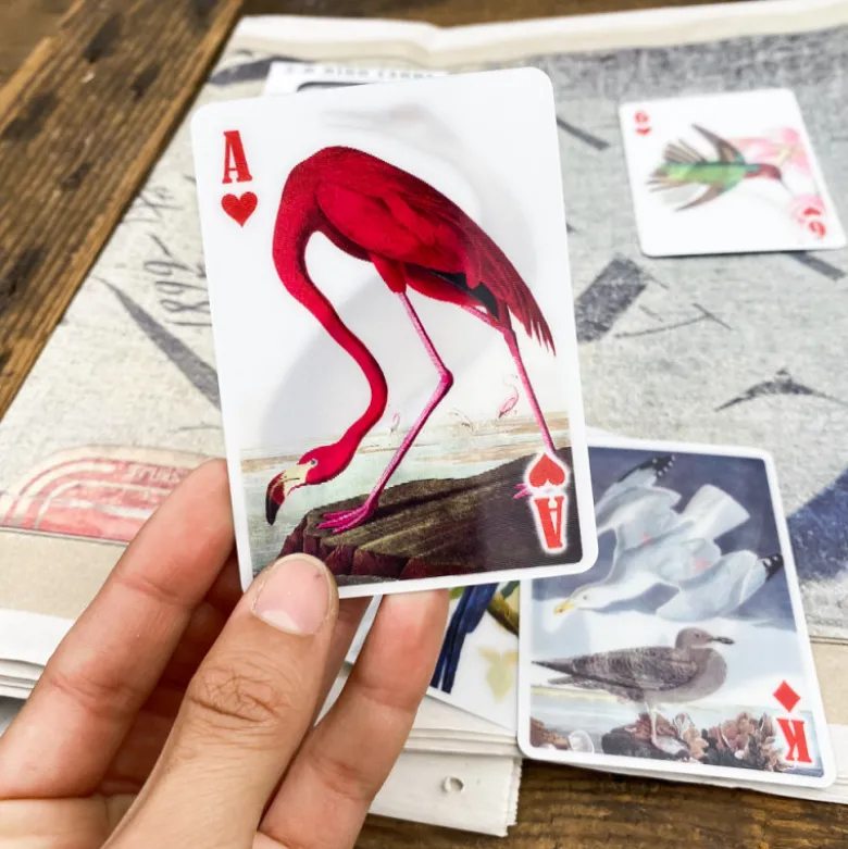 Jeu 54 cartes 3D oiseaux