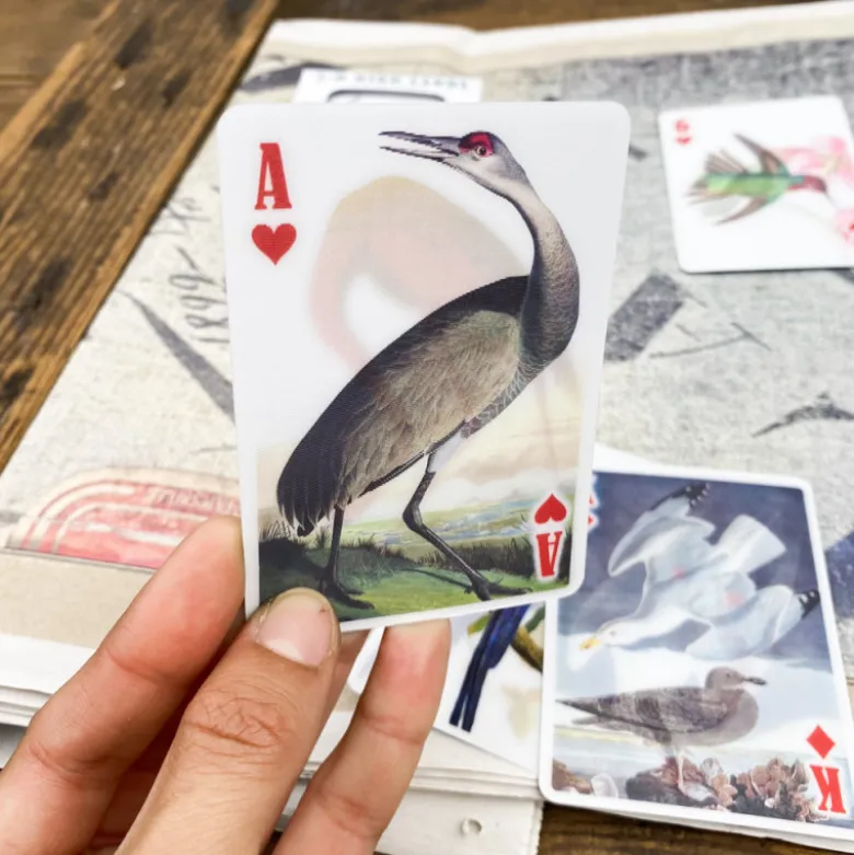 Jeu 54 cartes 3D oiseaux