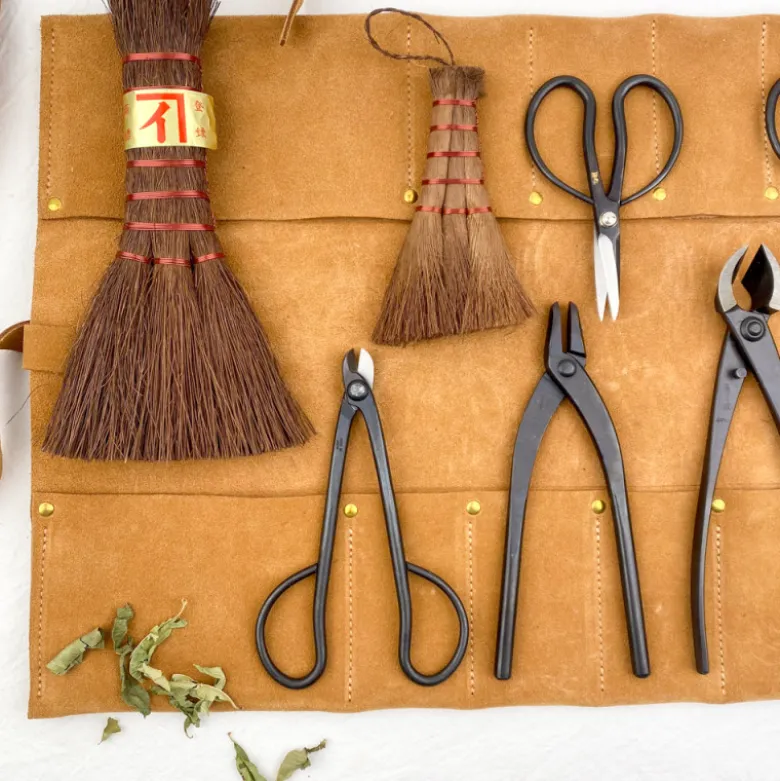 Kit pour Bonsaï - 10 outils et sacoche cuir