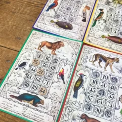 Loto Museum national d'Histoire naturelle