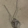 Panier à nid inox