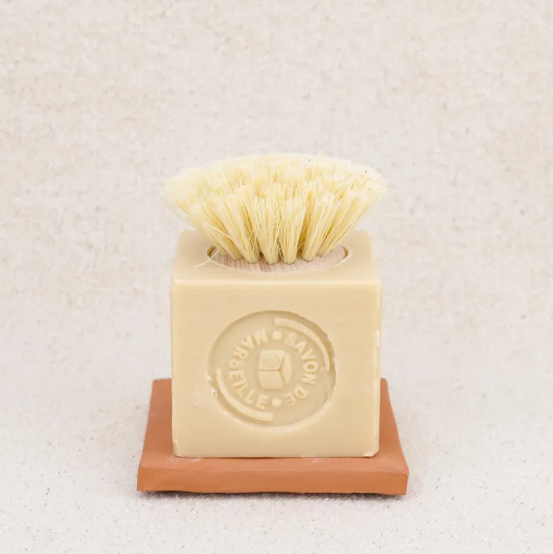 Savon-brosse