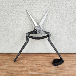 Sécateur à élaguer japonais
