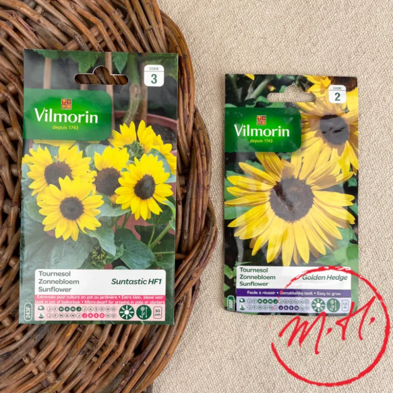 Semence de Tournesols