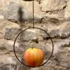 Support à pommes pour oiseaux