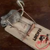 Tapette à souris