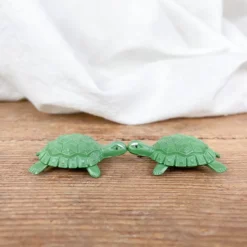 Tortues amoureuses magnétiques