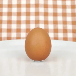 Œuf en chocolat avec sa coquille